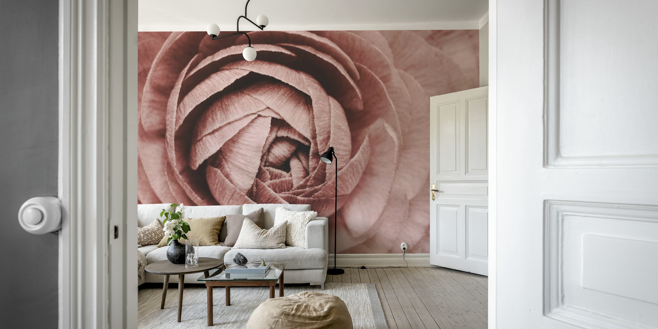 Flower Pink Ranunculus wallpaper in a room