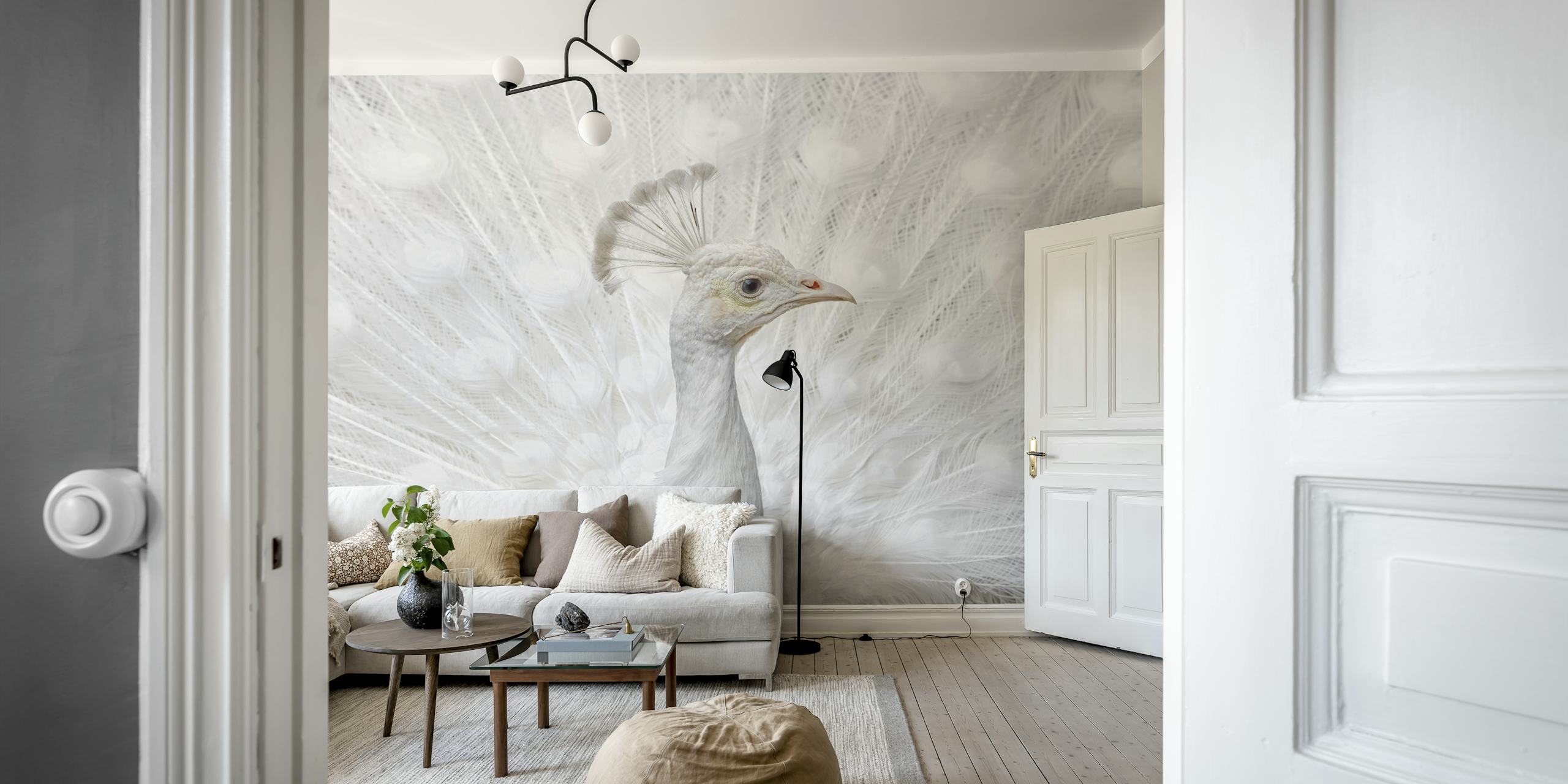White peacock with feathers spread in an elegant display on the Inmaculate wall mural