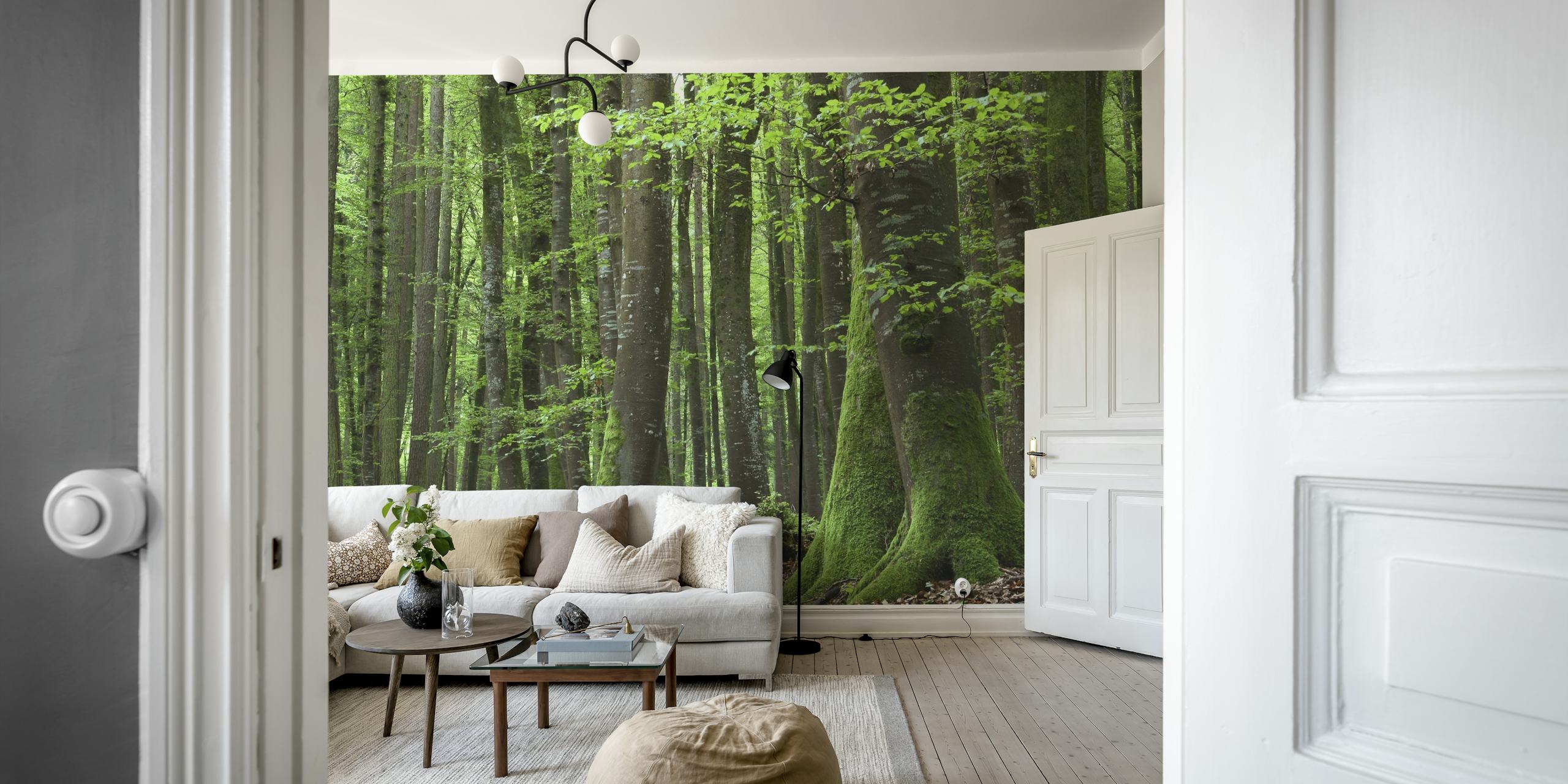 Bohlinger Schlucht forest wall mural with green moss-covered trees