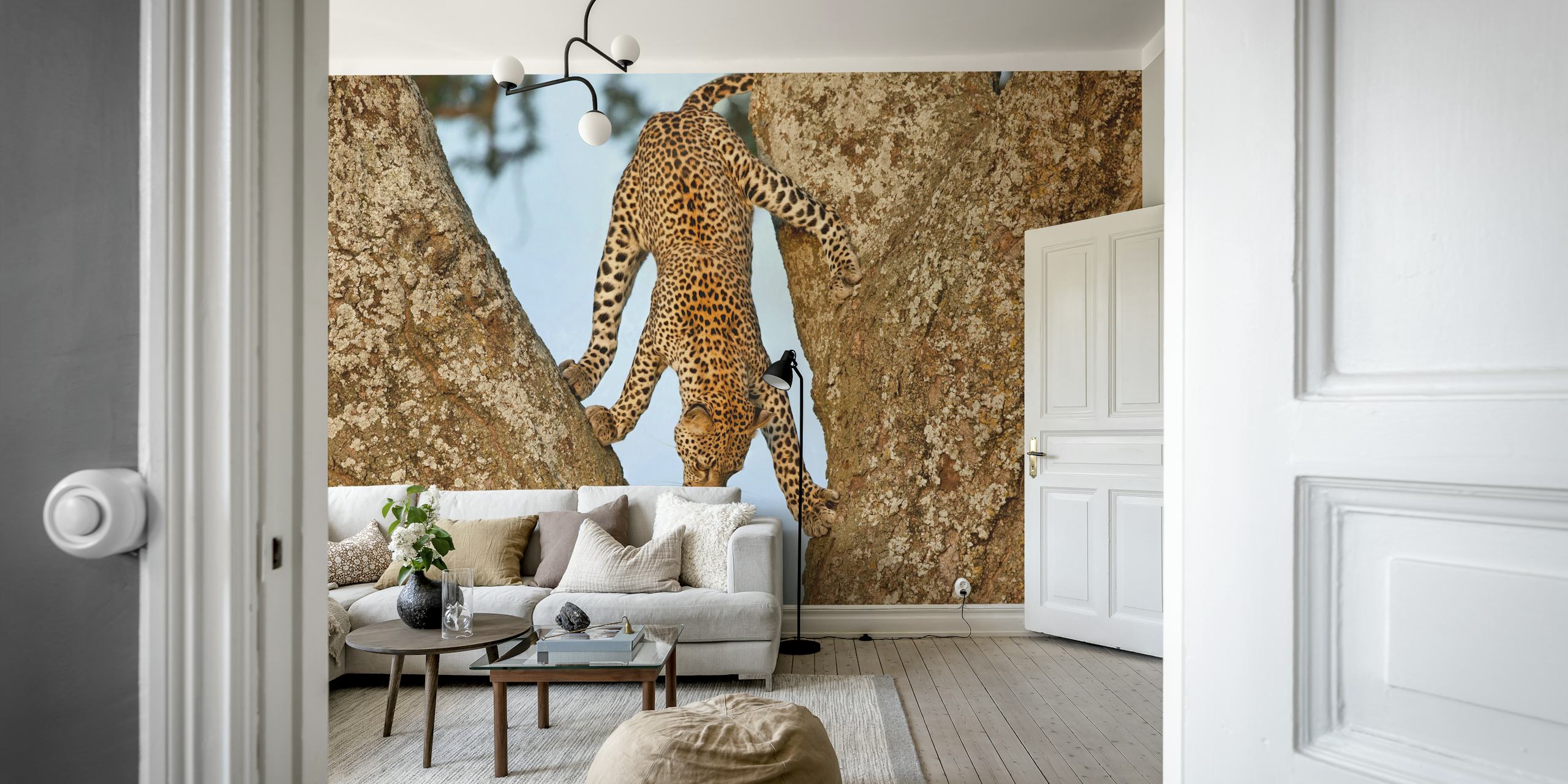 Leopard climbing upside down between tree branches wallpaper