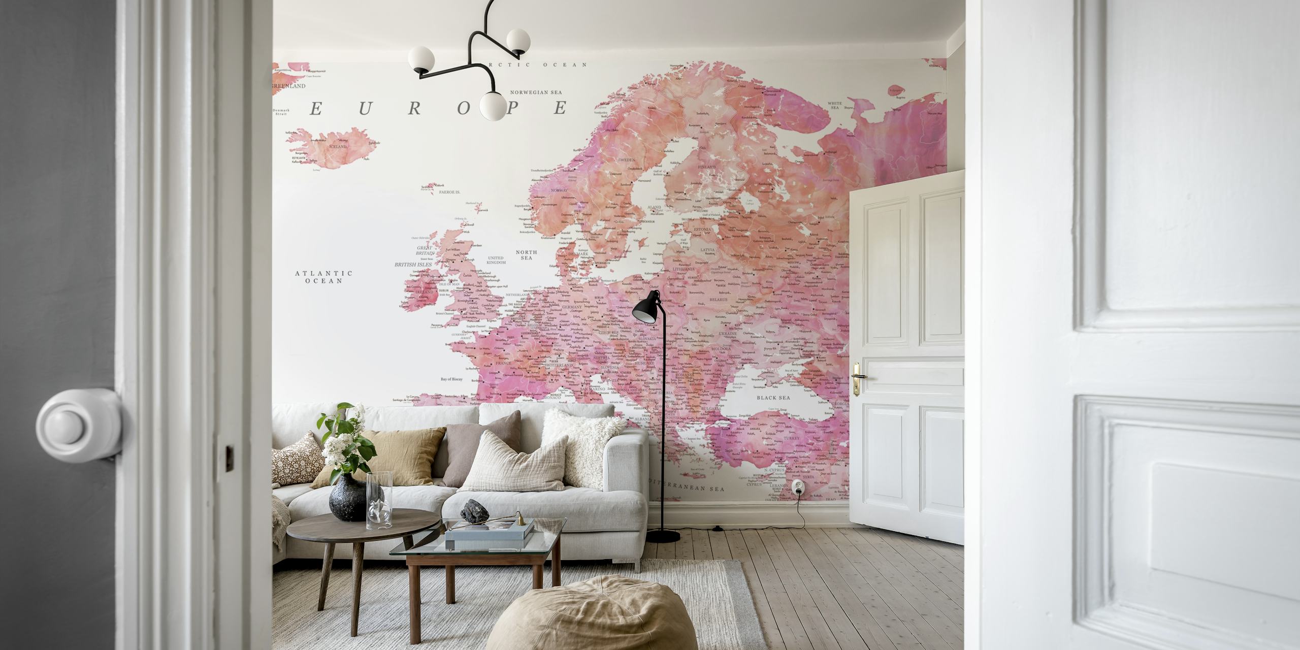 Detailed Europe map wallpaper in a room