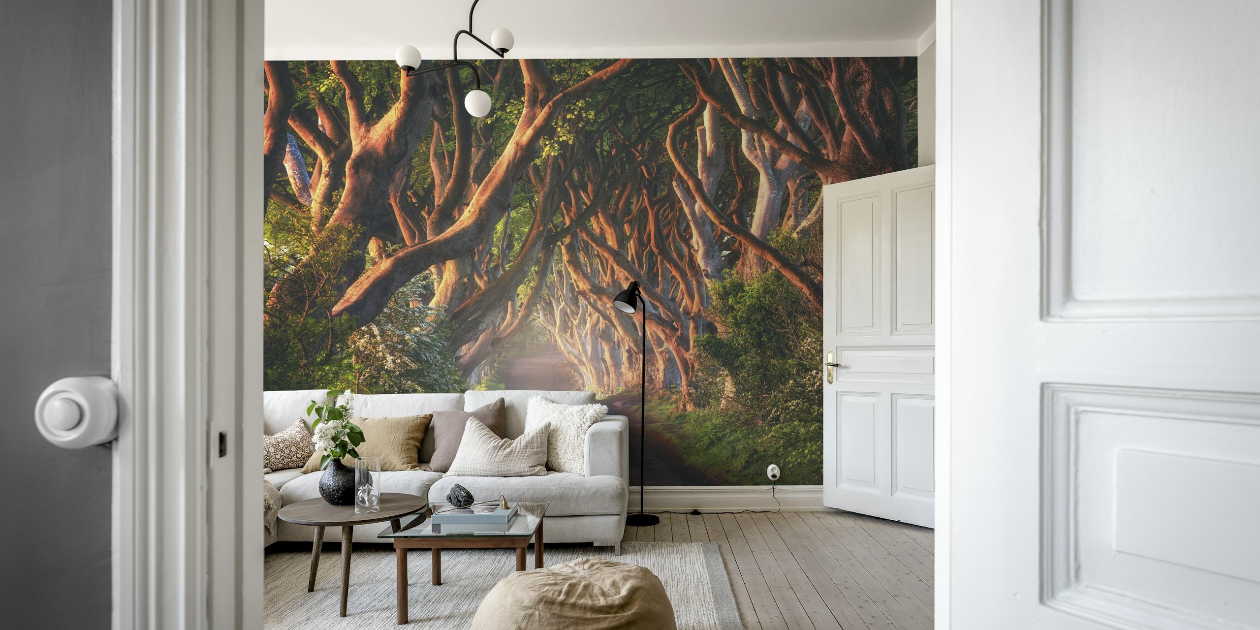 Mystical tree archway on a serene Irish lane wallpaper