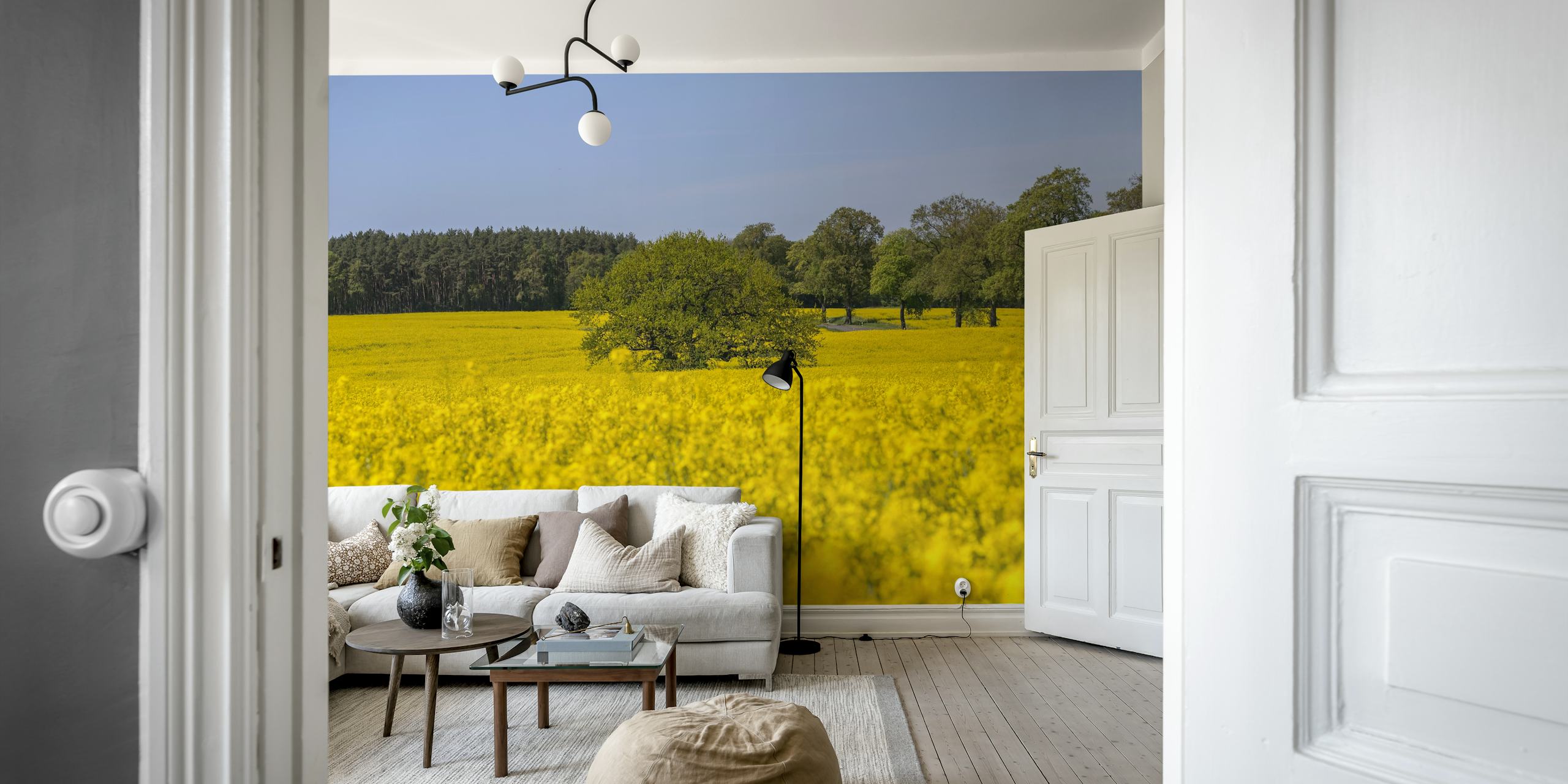 Yellow flowering rapeseed field with greenery wallpaper