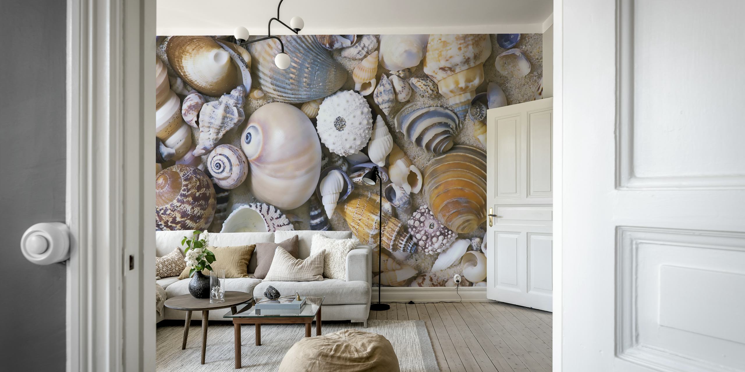 Sea Shell Collection wallpaper in a room