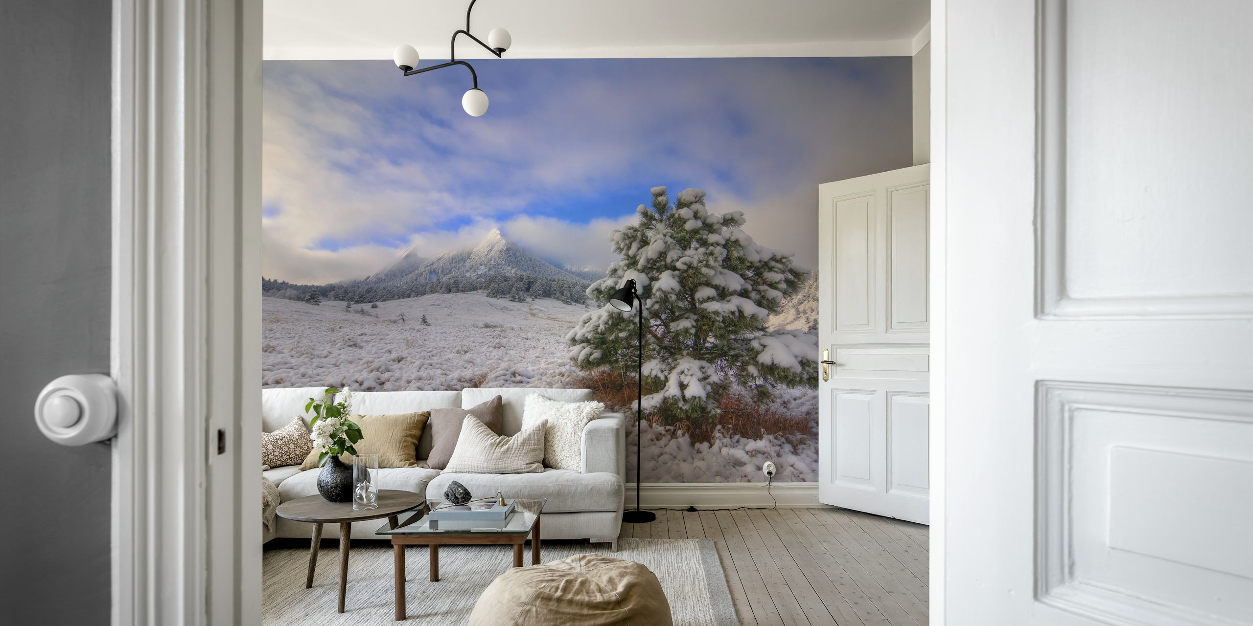 Snötäckt Flatirons-landskap med tapet av tall