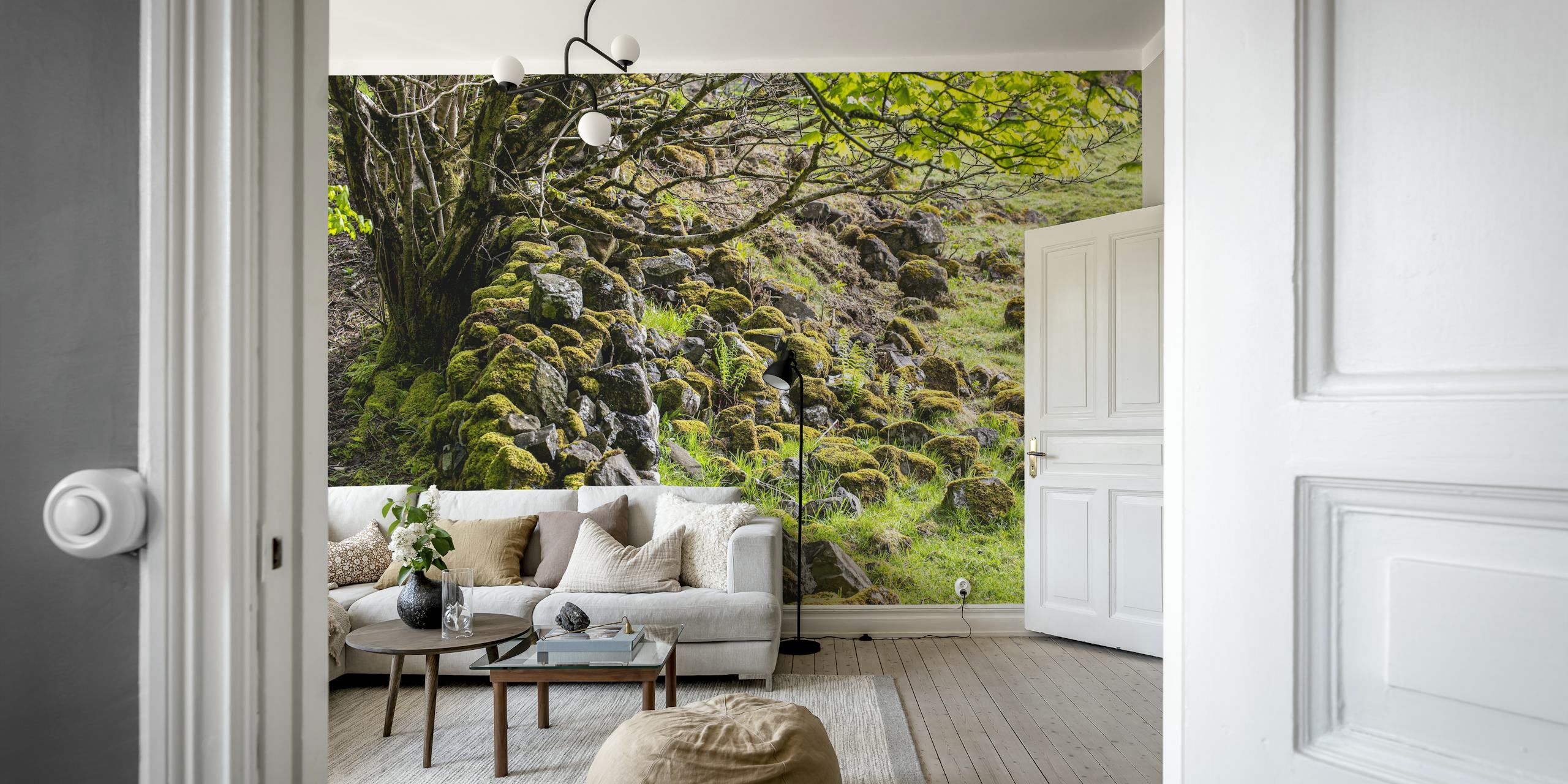 Mossy stones with green foliage in a Scottish forest wallpaper