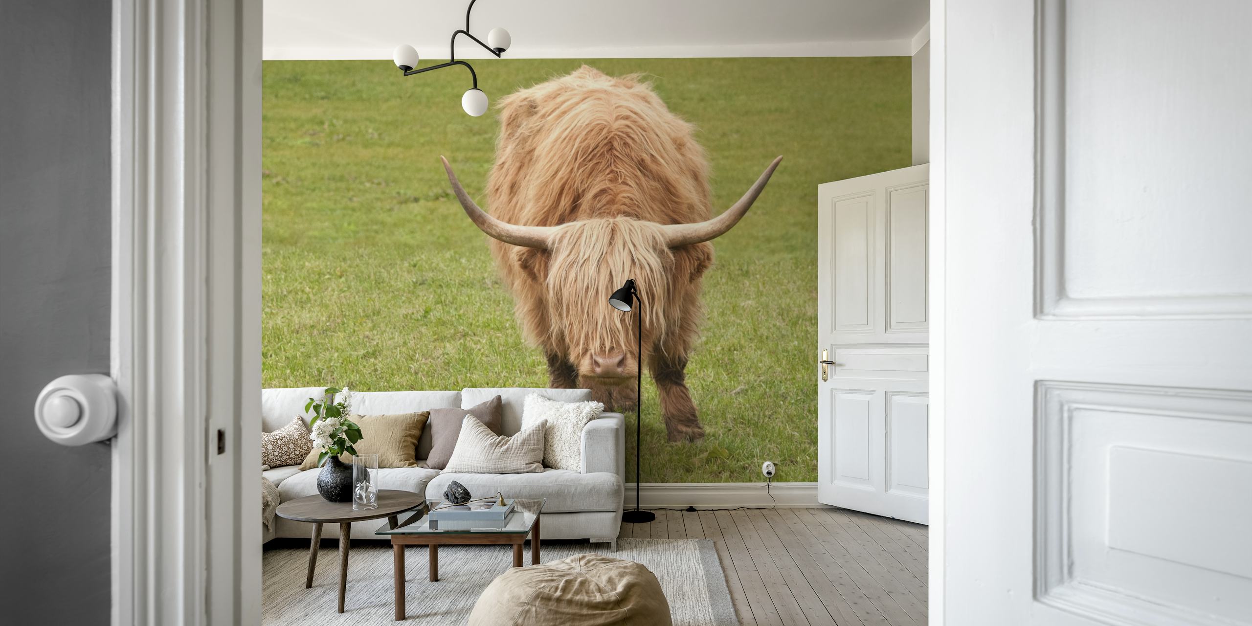 Highland cow wallpaper in a room setting