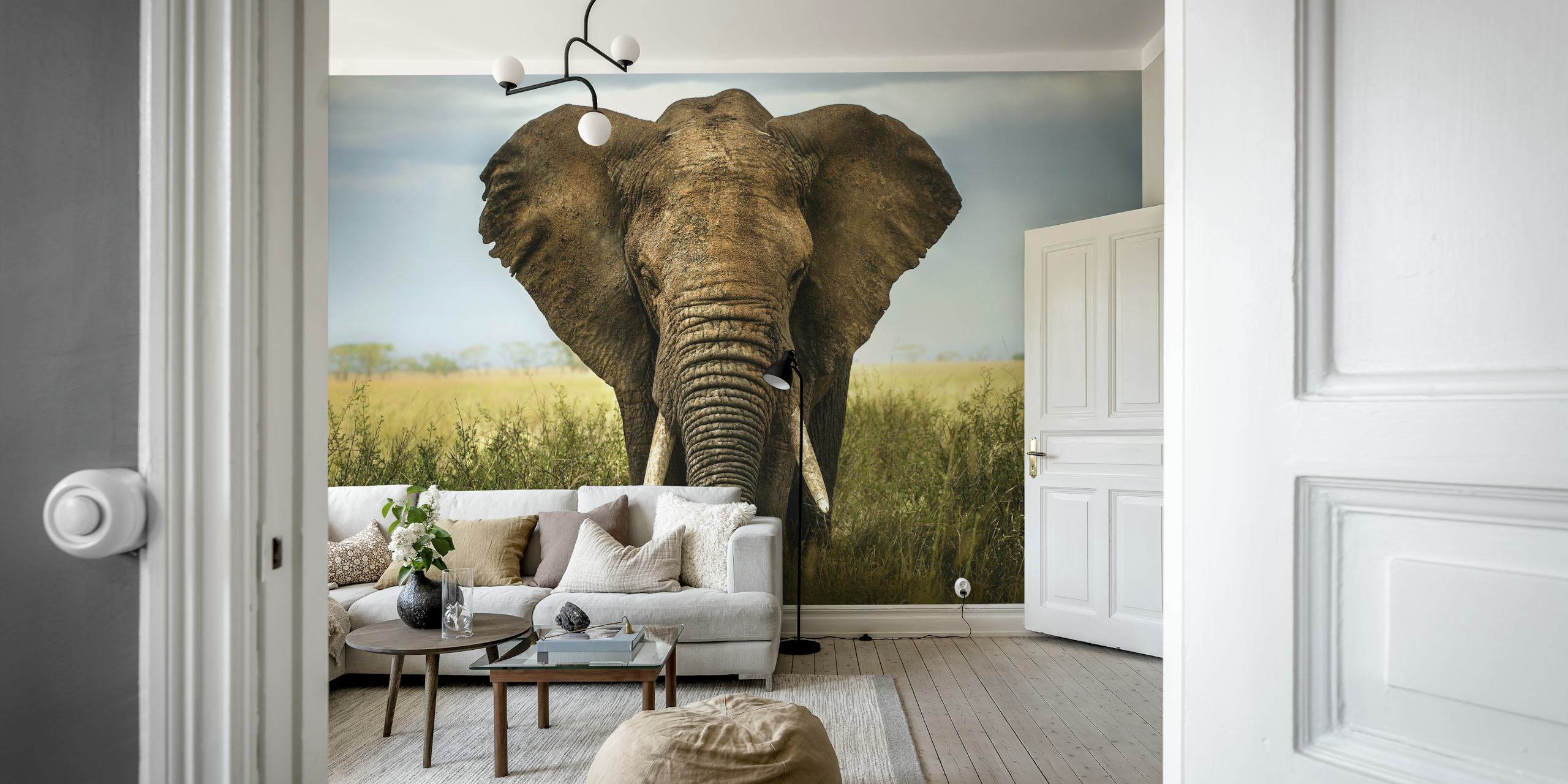 Elephant in grasslands under cloudy sky wallpaper