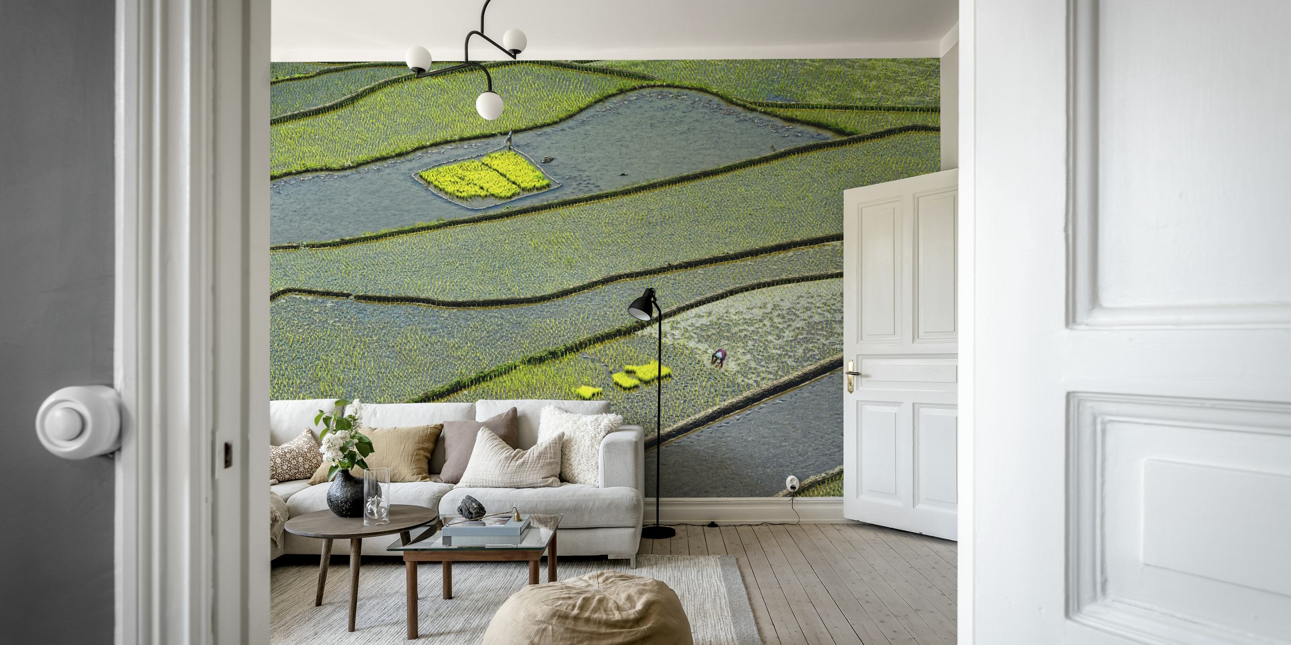 Vibrant rice fields wallpaper in a room