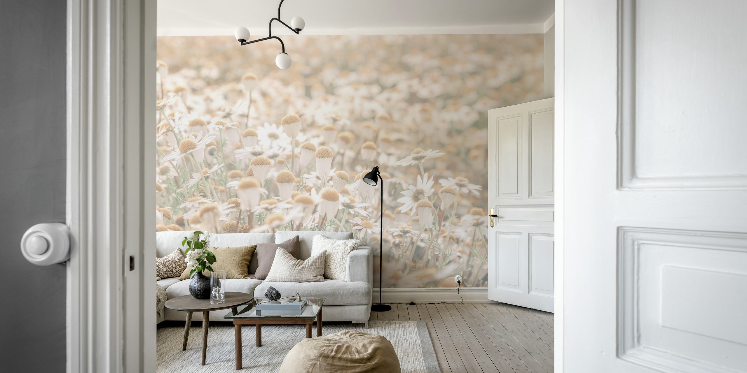 Field of white daisies with soft brown centers wallpaper