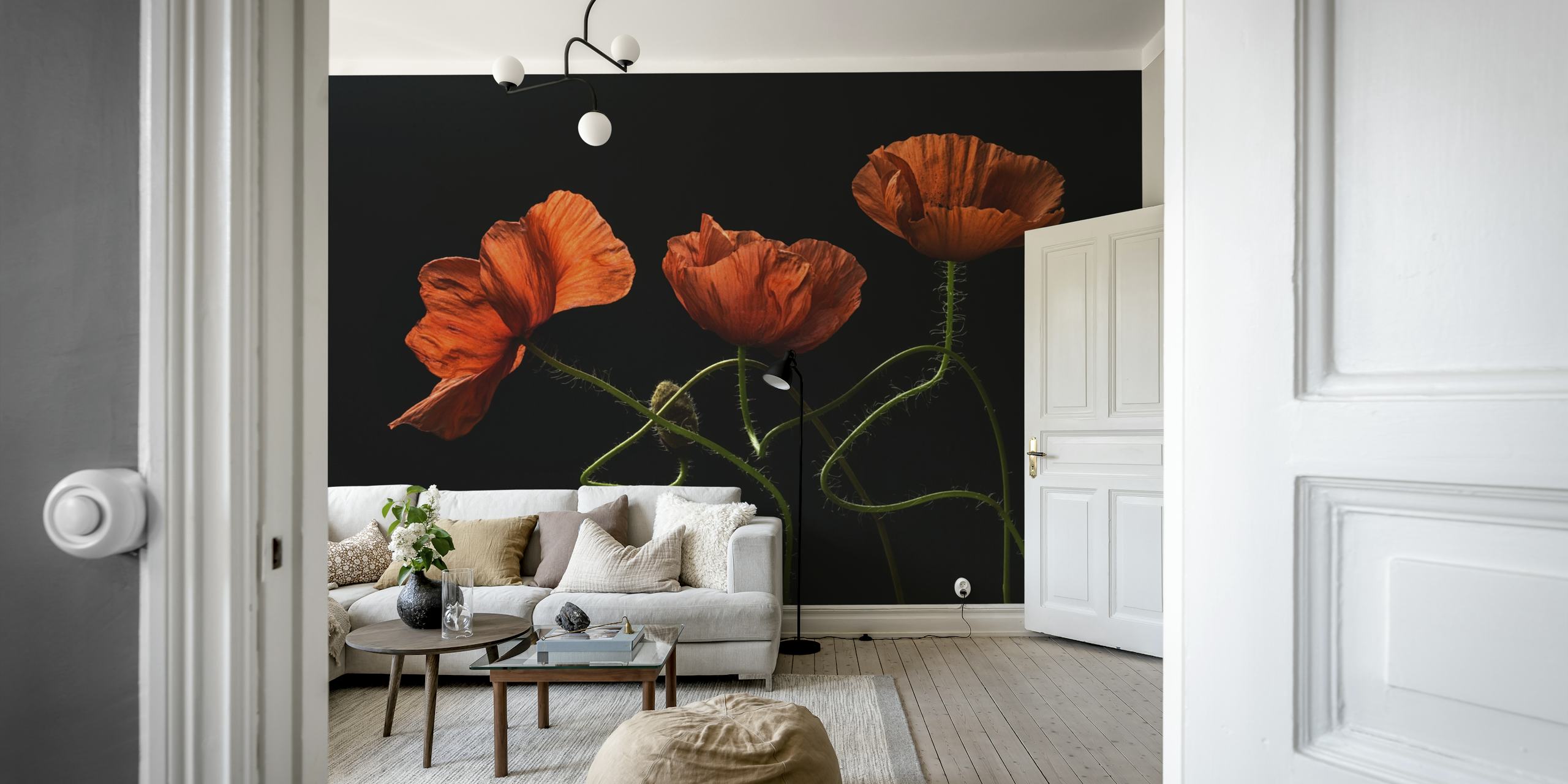 Three red poppy flowers on a black background wallpaper