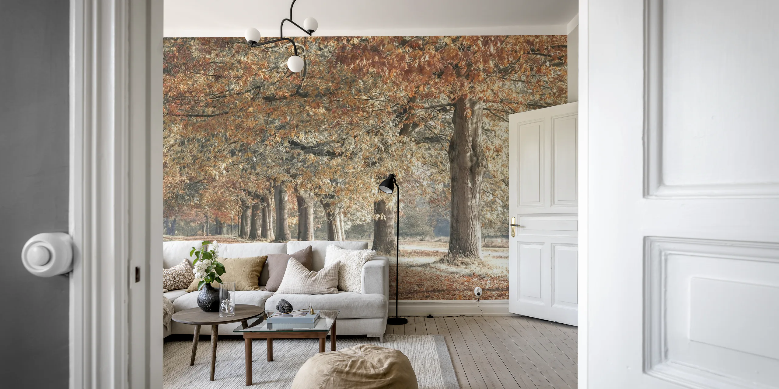 Fall Splendor wallpaper | Happywall