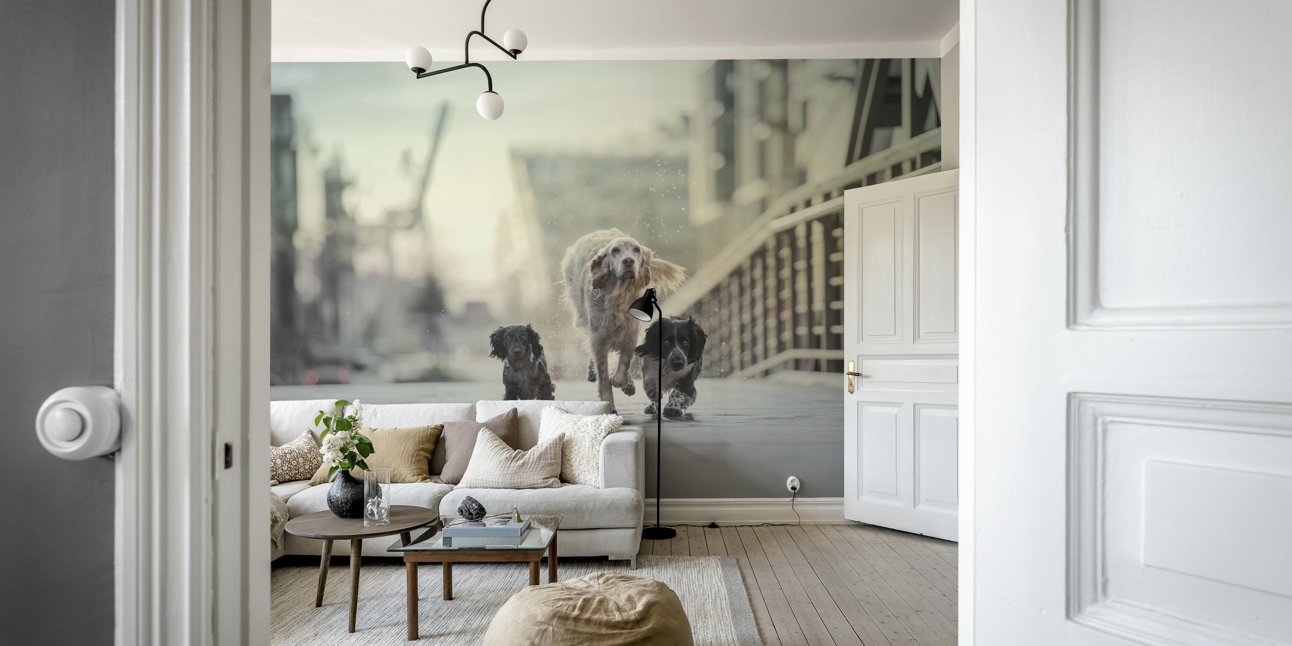 Colorful 1 2 3Go! wallpaper in a bright room