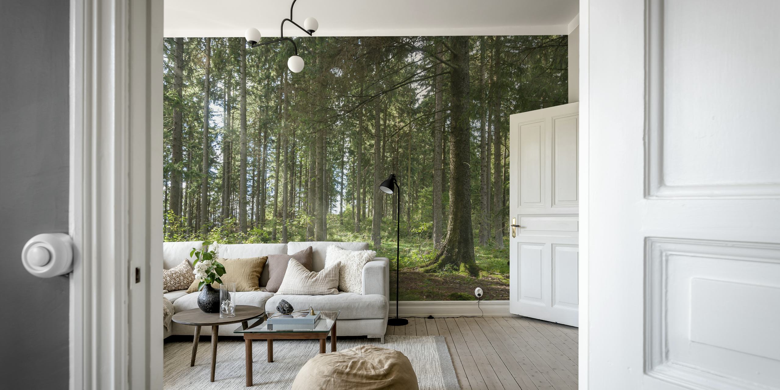 Forest wallpaper in a bright room