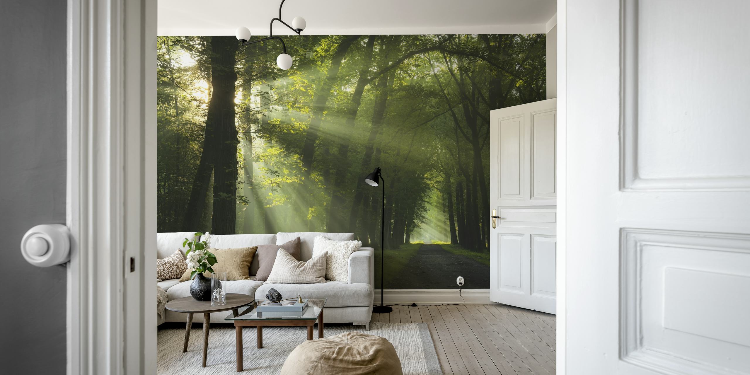 Sunrays filtering through a green forest wallpaper