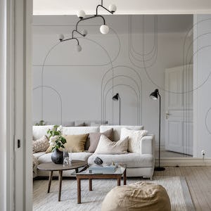 Minimalist Arches in Charcoal Grey