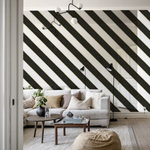Black and White Luxury Zebra Stripes