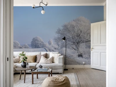 Winterly Nordic Landscape