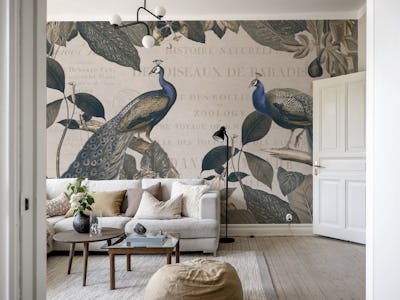 Majestic Peacock Grandeur