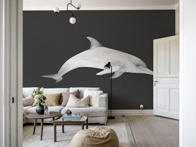 Deep Sea Dolphin