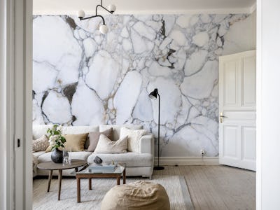 Breccia Medicea White Marble