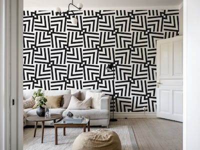 Checkered Op Art Black White