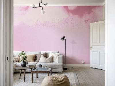 Pink Magenta Bird Flight Clouds