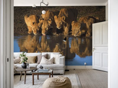 Lions of Mara