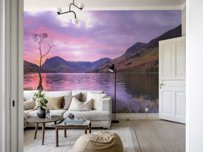Serene Scene