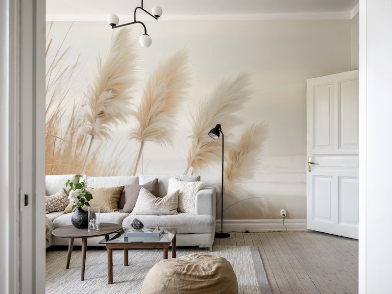 Pampas grass in evening light