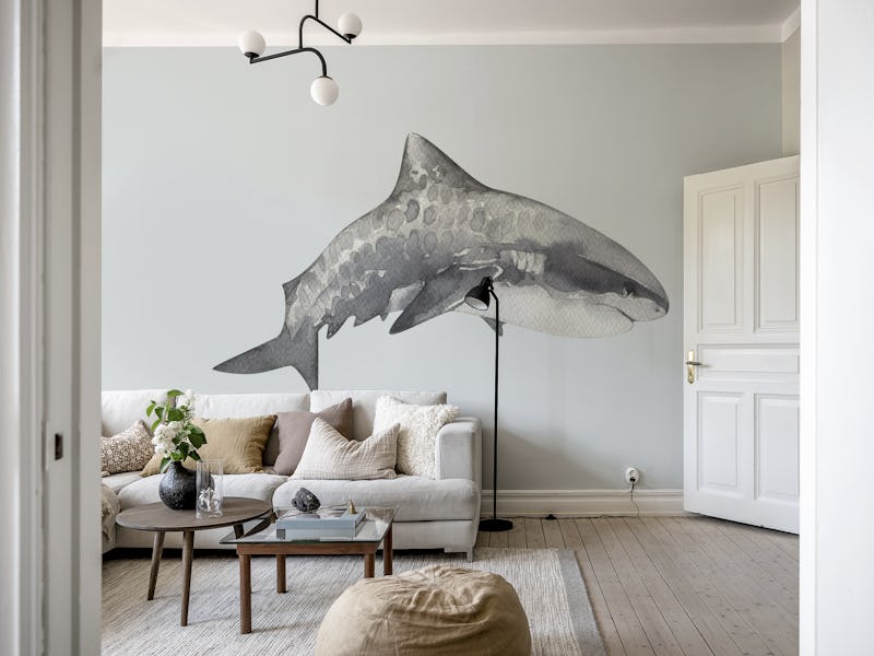 Wild Ocean Shark