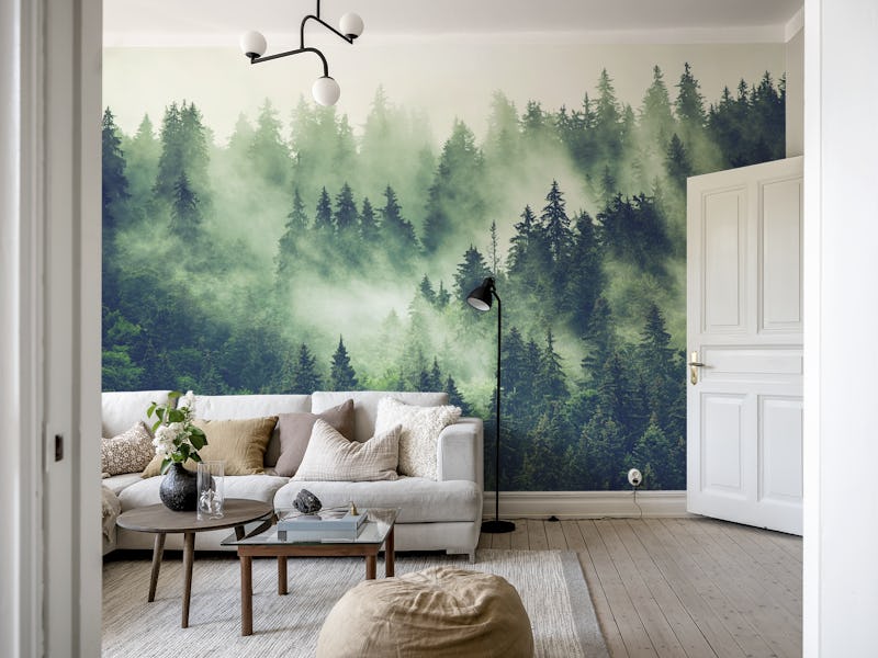 Misty fir forest