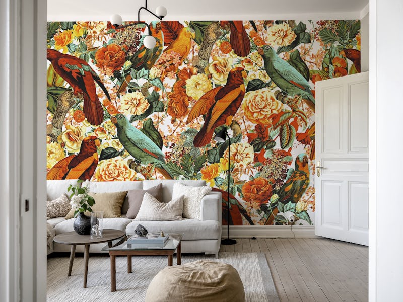 The Magical World of Birds II