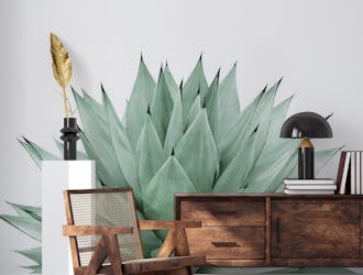 Agave Green Summer Vibes 1