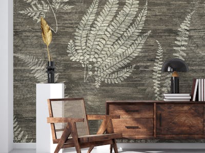 Antique Botanical Ferns