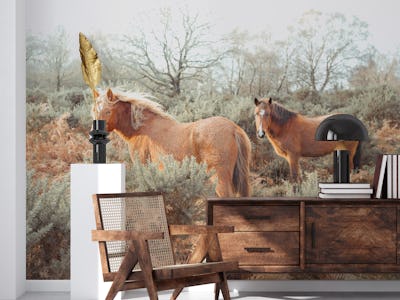 Horses in forest 4