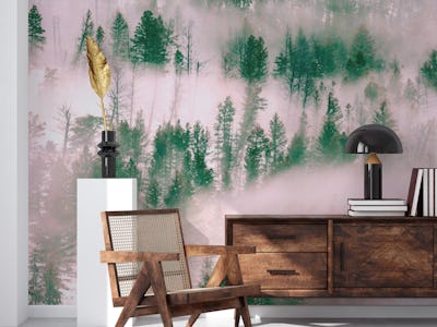 Morning Fog Forest