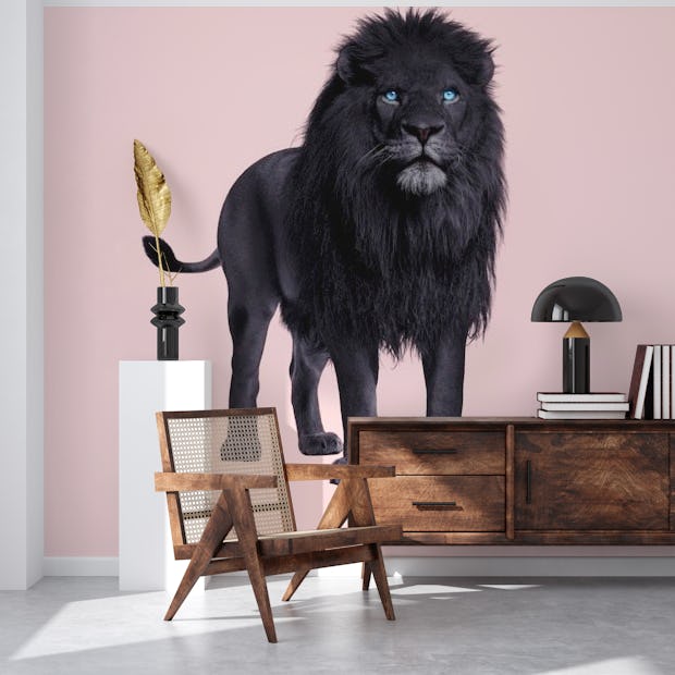 Black Lion wallpaper - Happywall