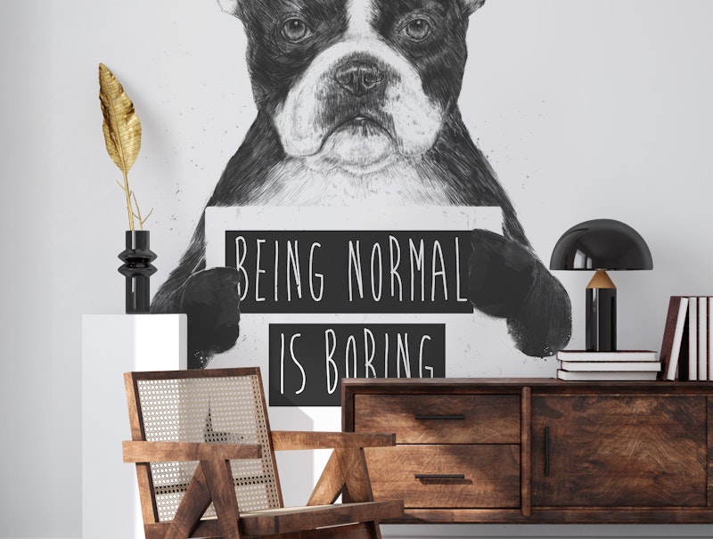 Being normal is boring