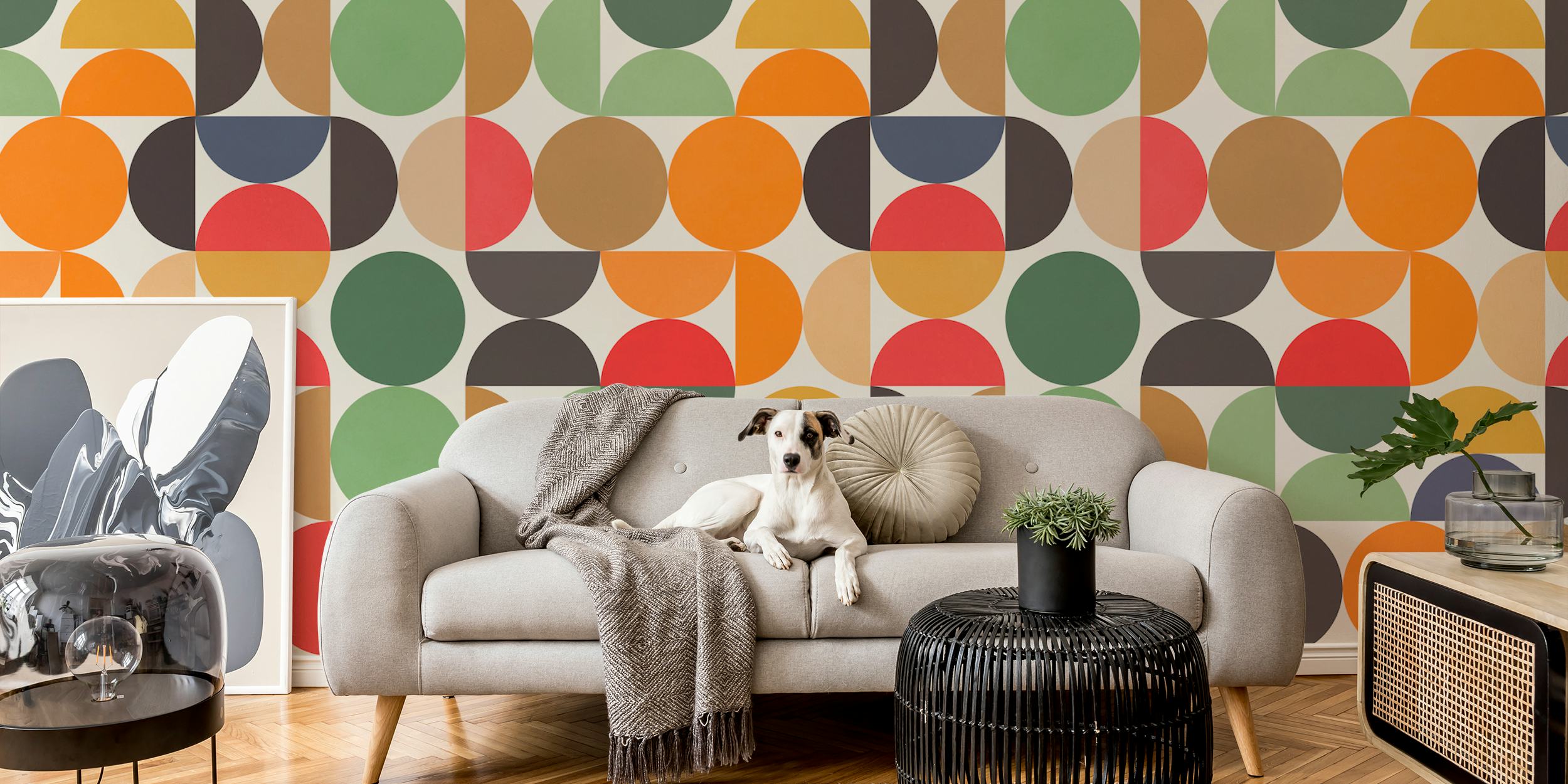 Expressive colored circles pozadina u sobi