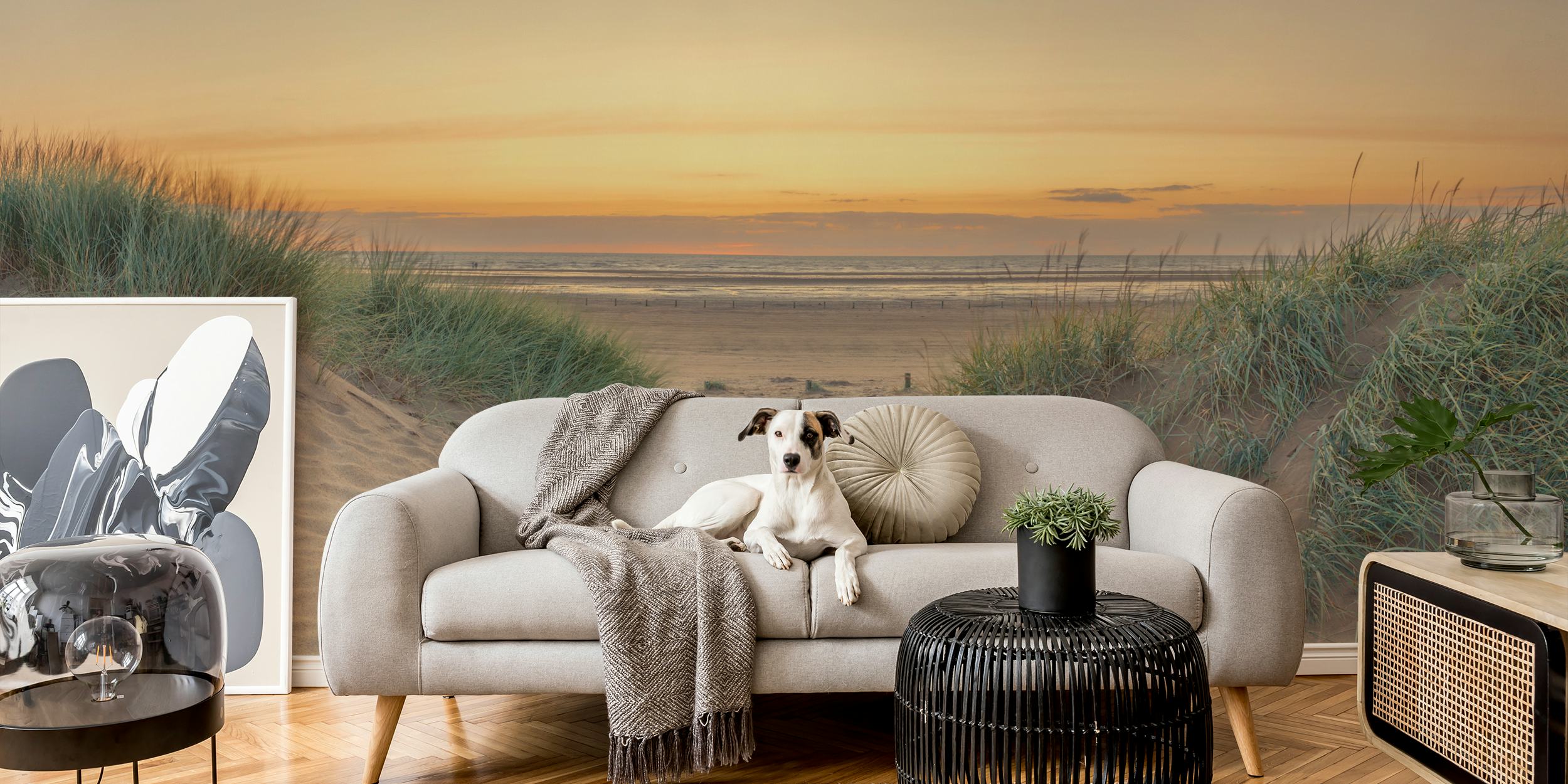 Coastal beach sunset wallpaper with sand dunes and grass