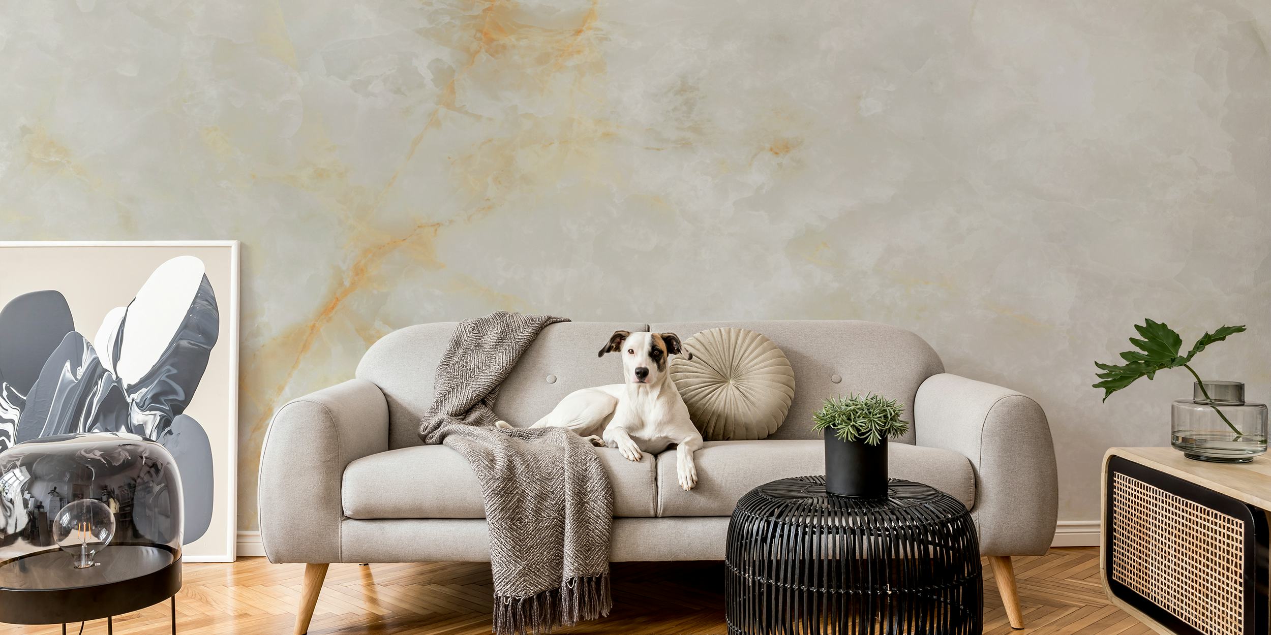 Ice White Onyx tapet i et rom