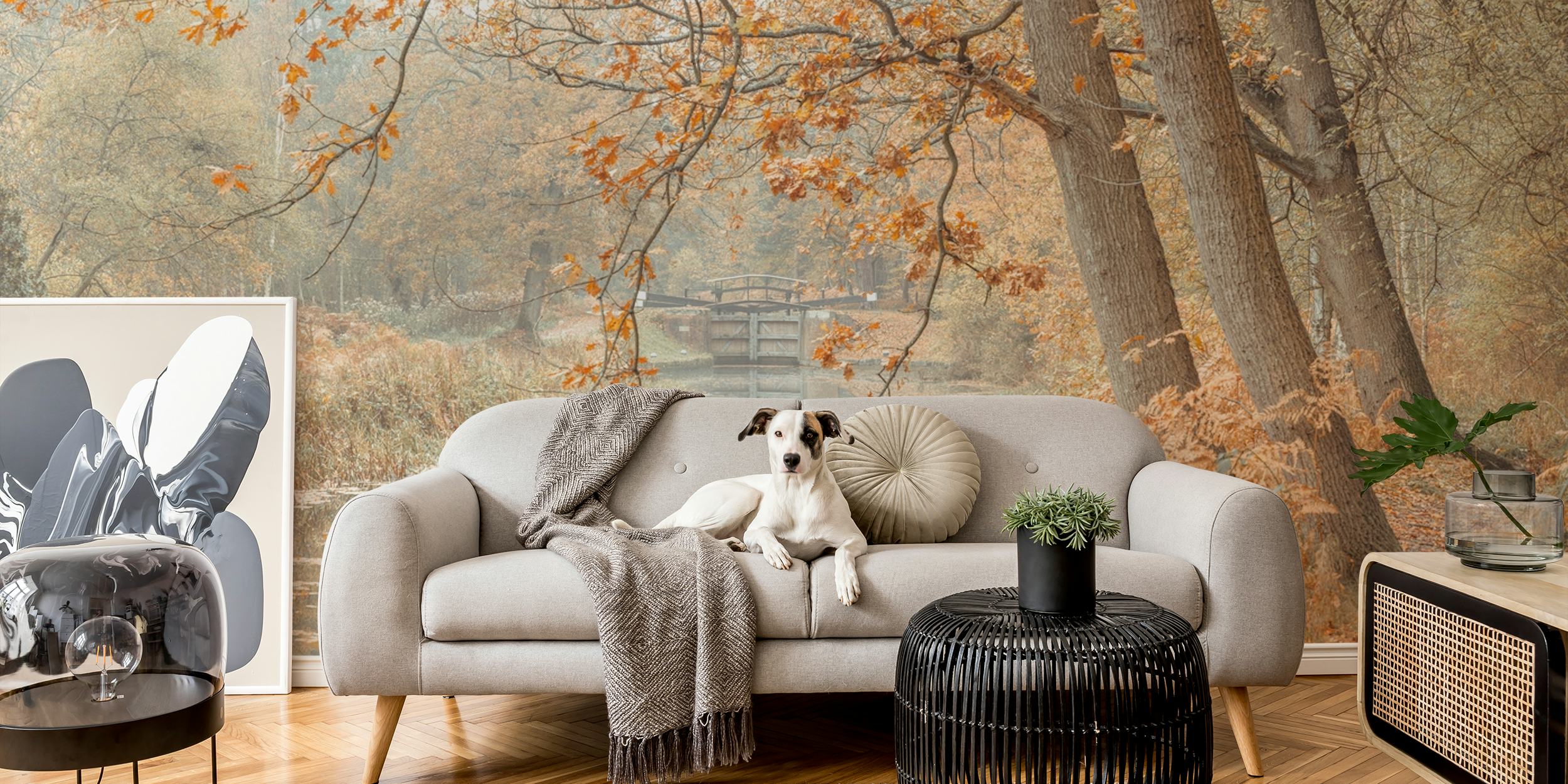 Autumn forest with a tranquil canal wall mural