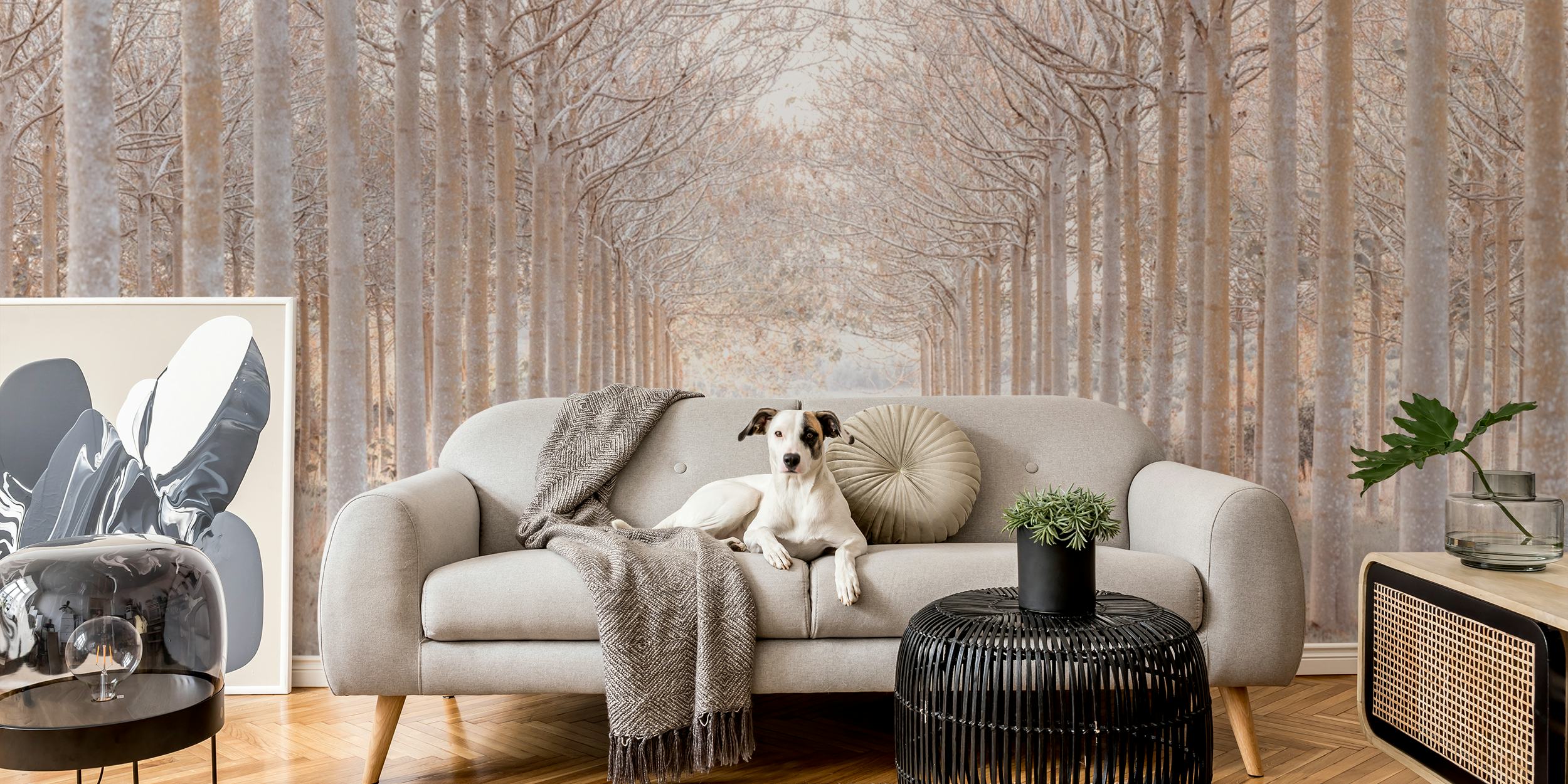 Winter forest wallpaper in a room