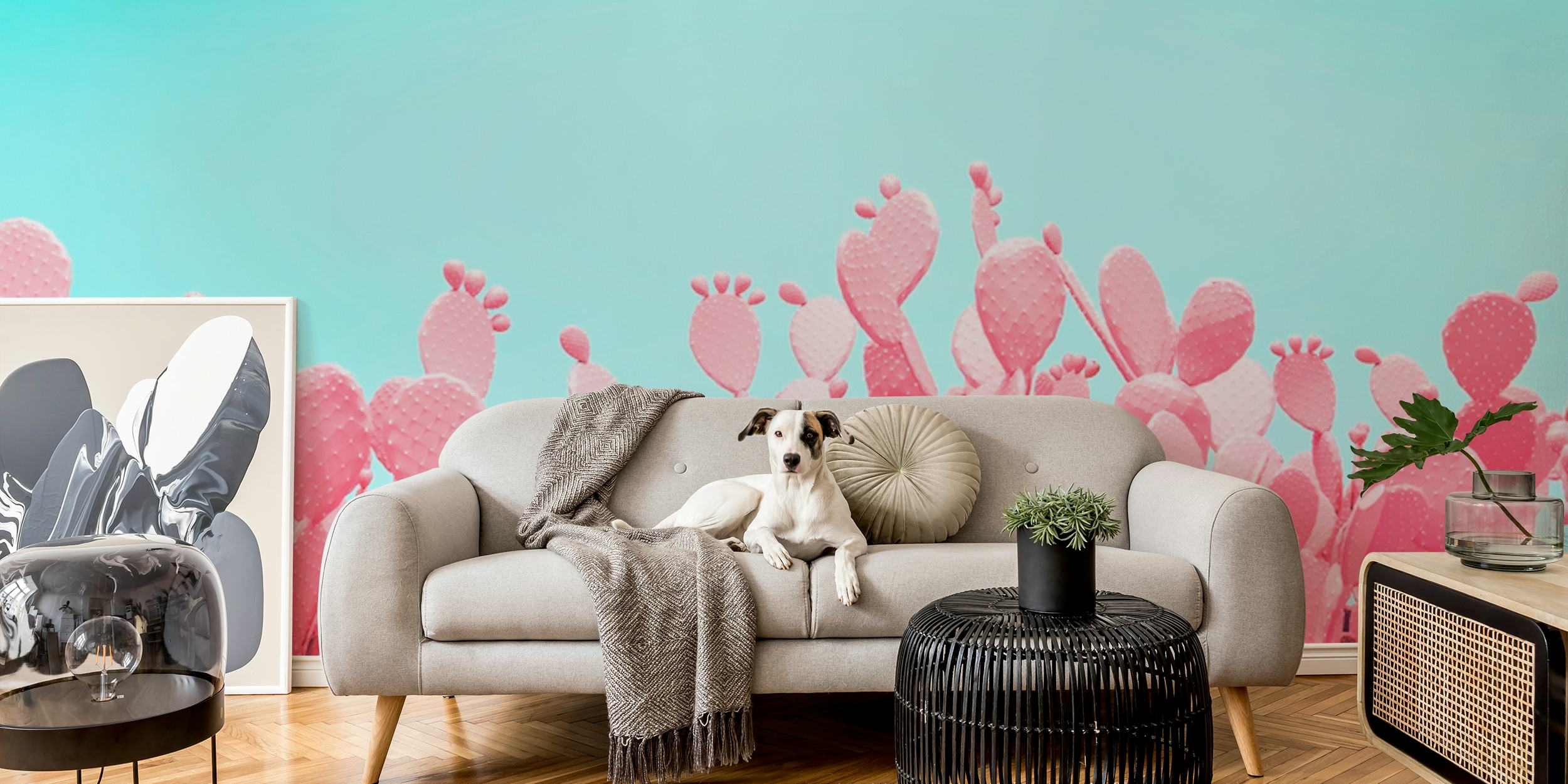 Pink cactus plants against a turquoise background wallpaper