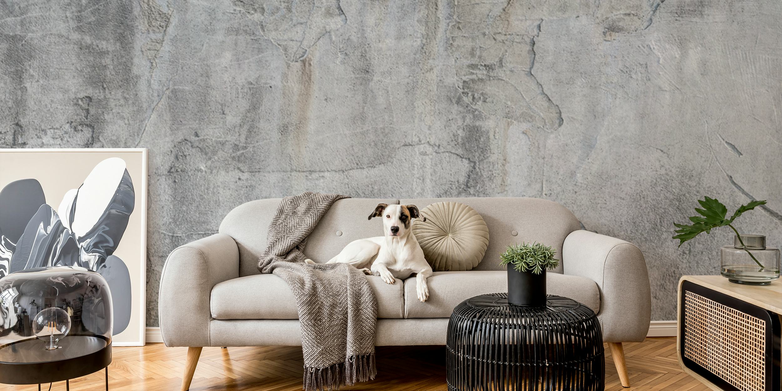 Mur en pierre grise texture rugueuse wallpaper