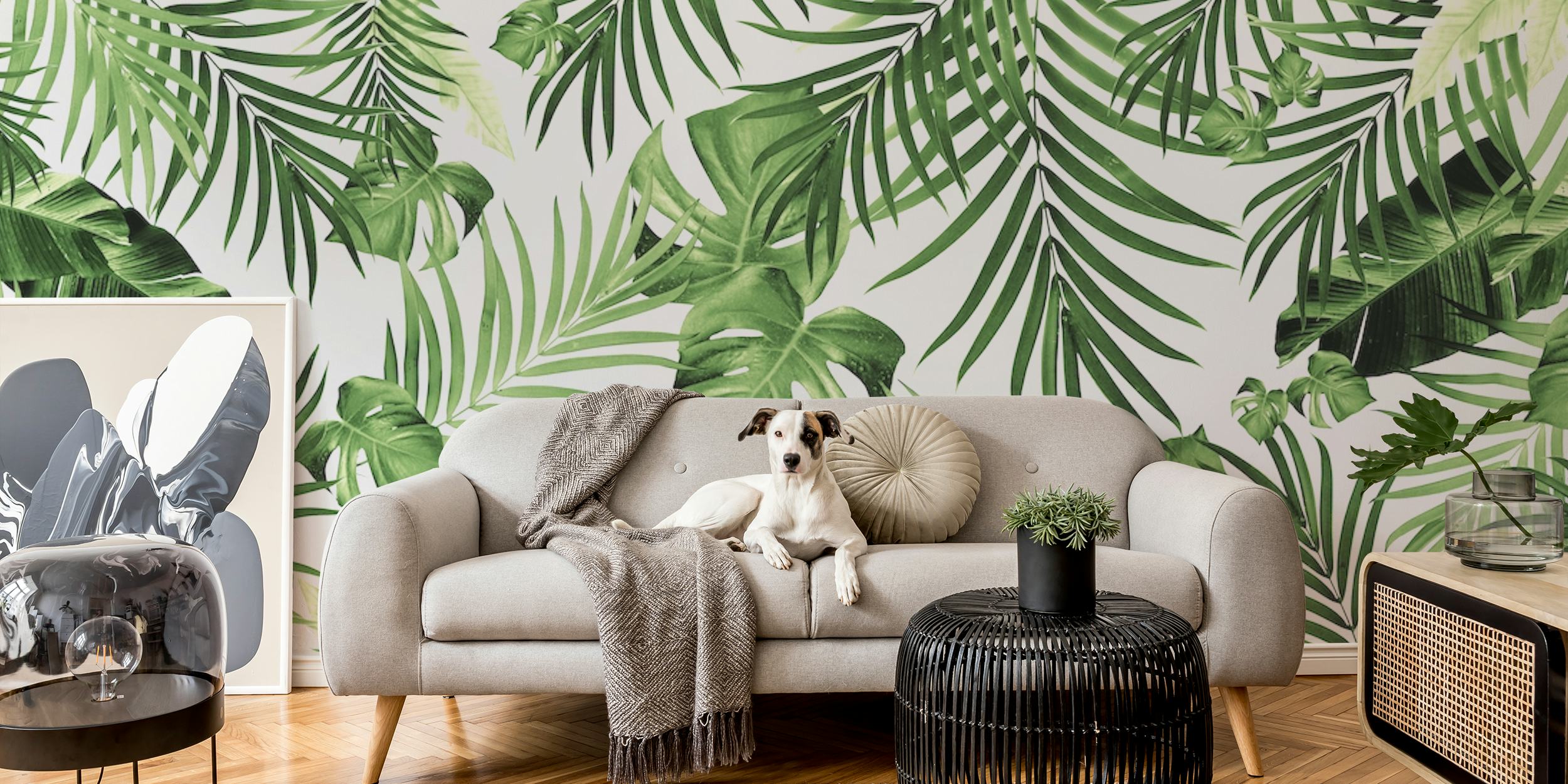 Tropical green leaves on white background wallpaper