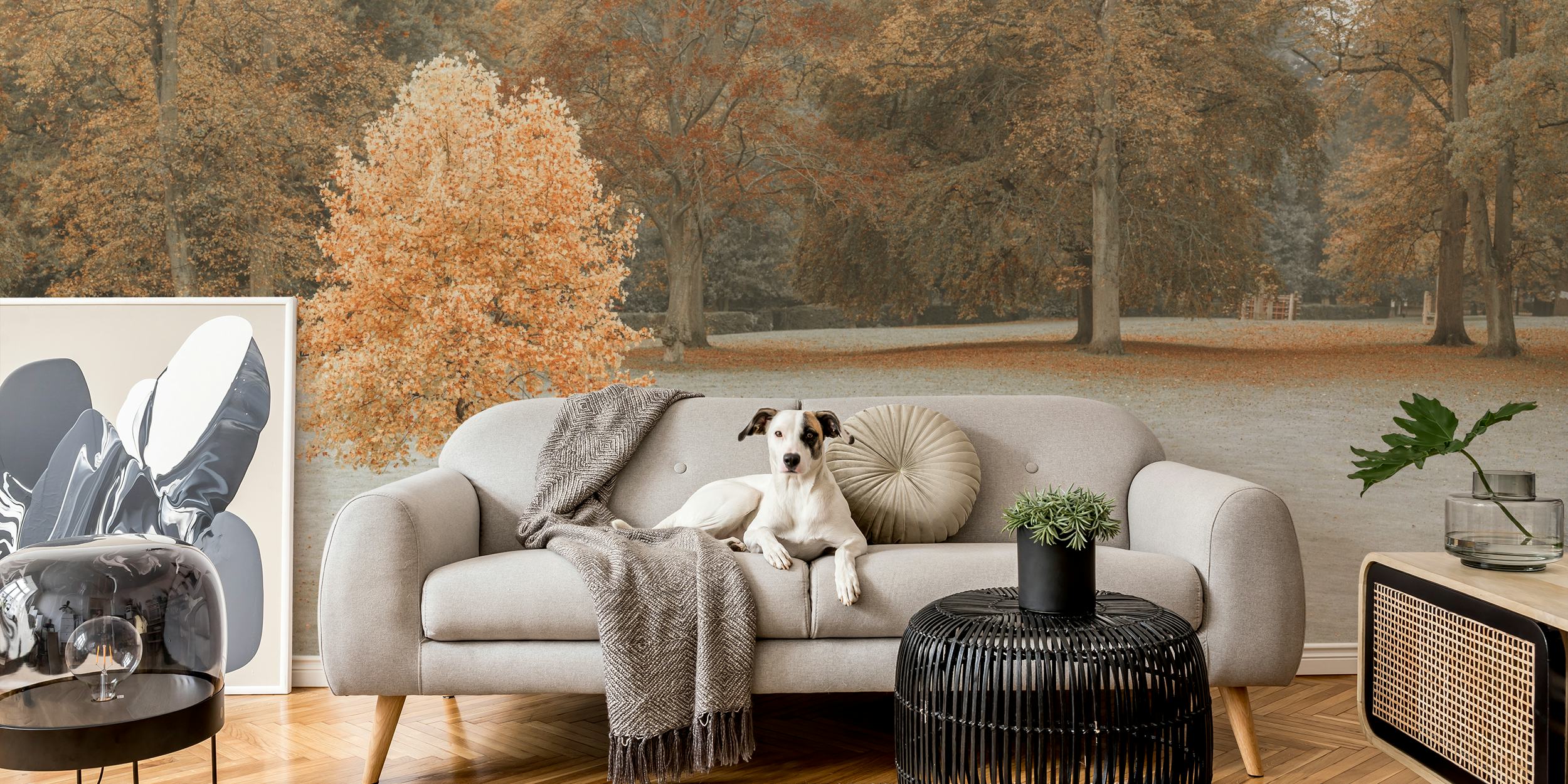 Autumn wallpaper featuring a lone tree