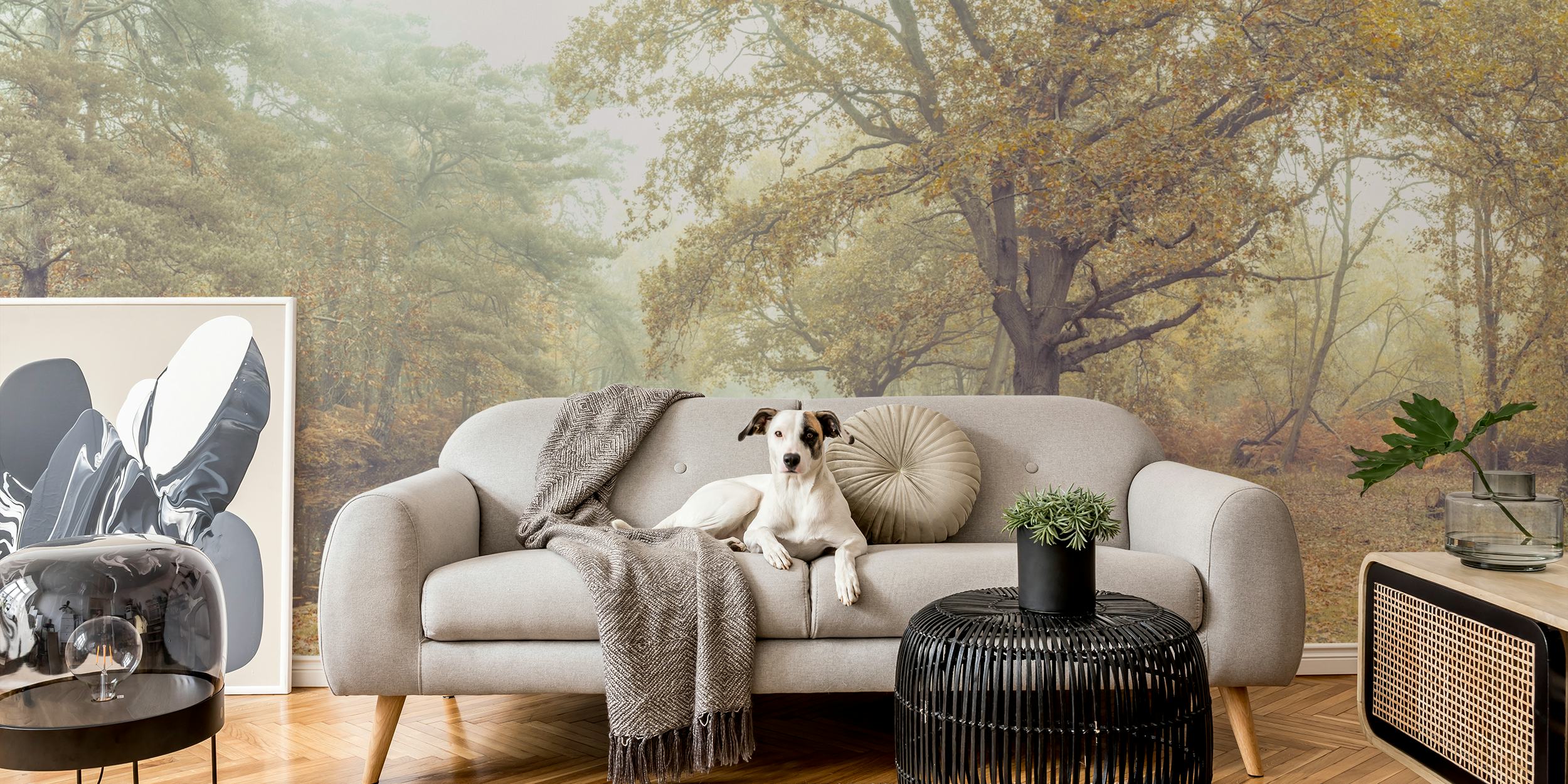 Misty Canal tapetdesign i et rom