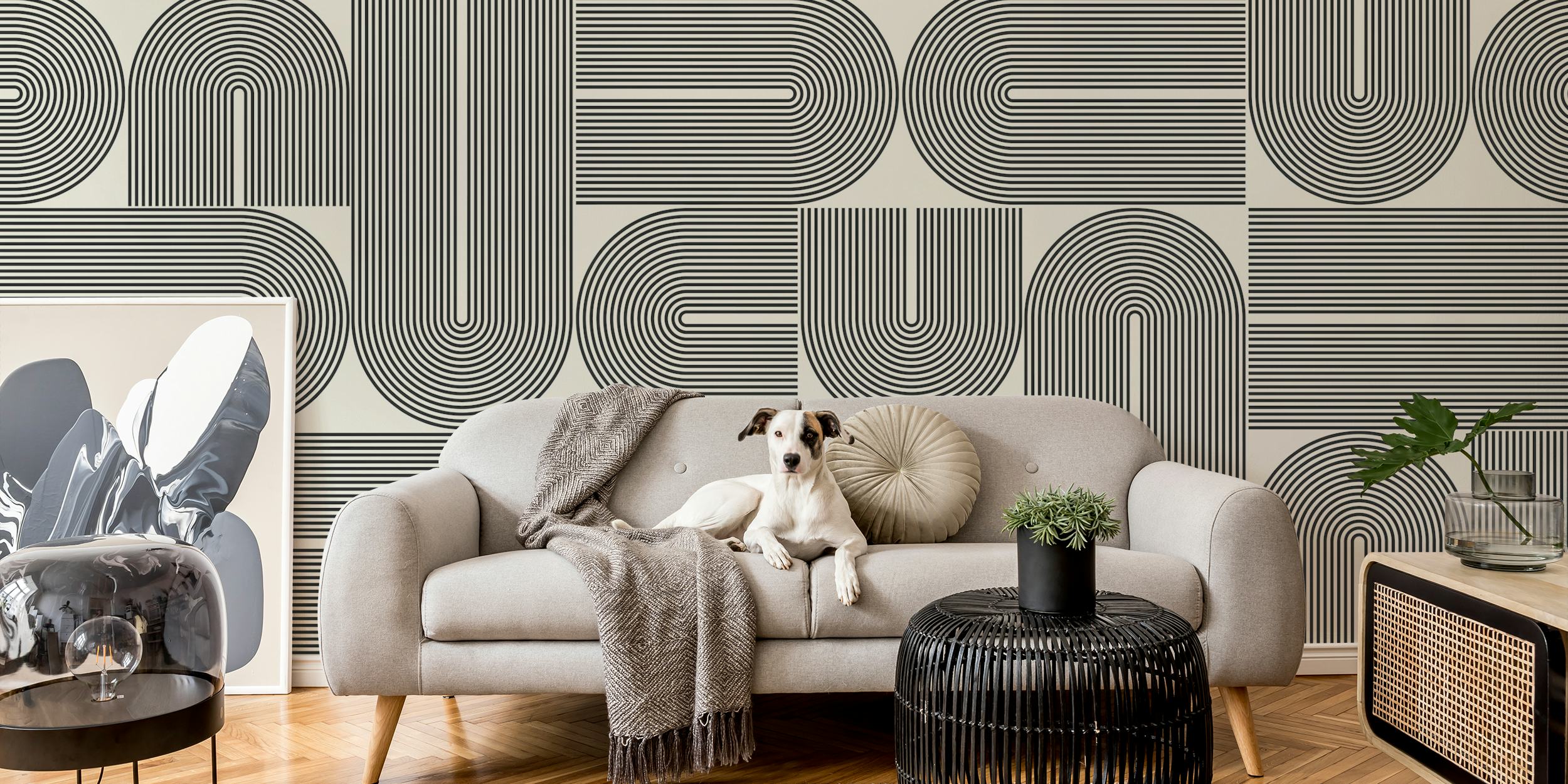 Geometric lines and circles in black and white wallpaper